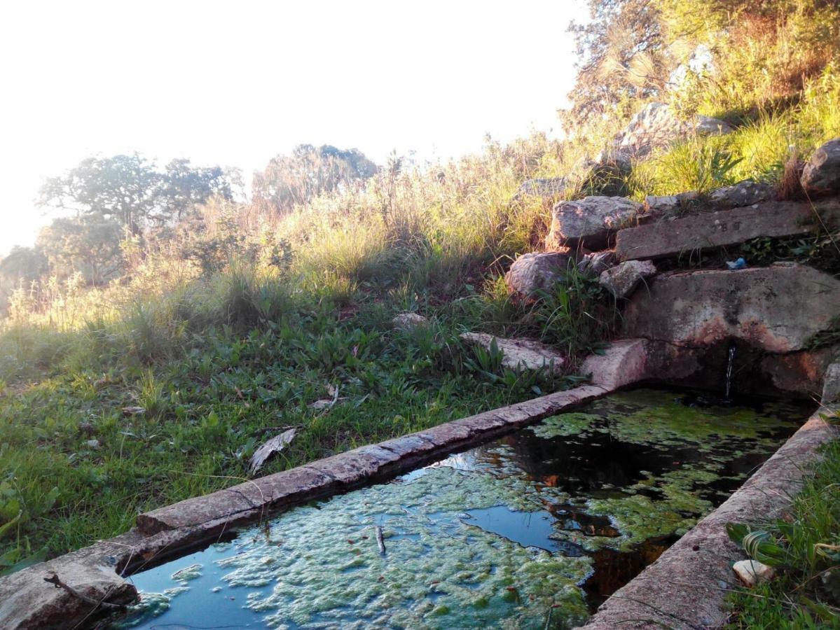 Las Parras Rute Exteriér fotografie